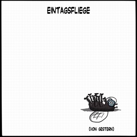 Eintagsfliege