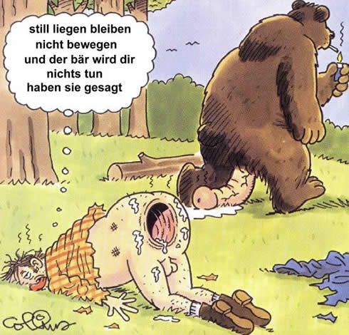 Verhaltensregeln bei Kontakt mit Bären...