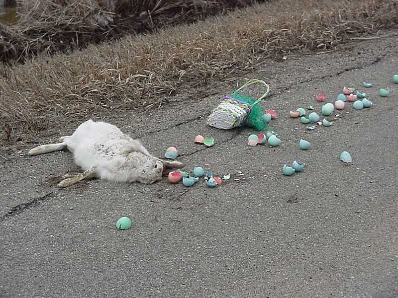 Liebe Kinder: Sorry, Ostern fällt ins Wasser