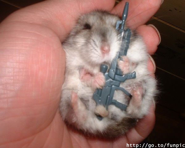 Schläfer gefasst !!!