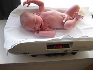 Fiete eine Stunde alt!