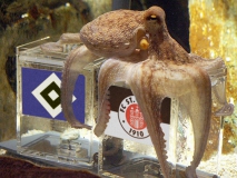 Das Orakel hat gesprochen