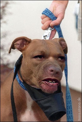 Die neue Außenministerin der USA??